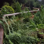 Mroz 자코파네