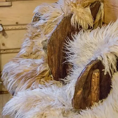 Mroz 山林小屋 扎科帕内