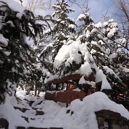 Lodge Mroz