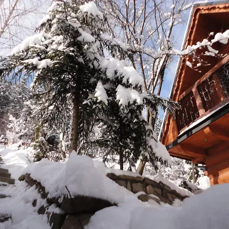 Lodge Mroz