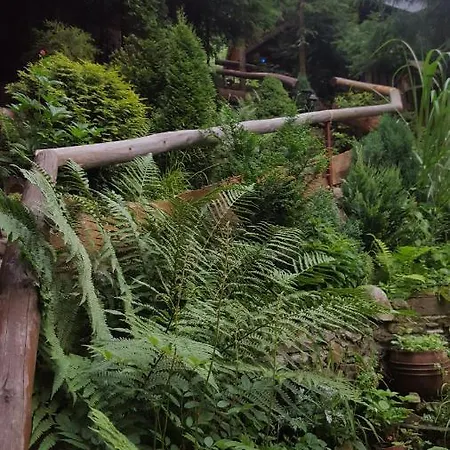 Mroz 扎科帕内