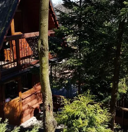 山林小屋 Mroz 扎科帕内