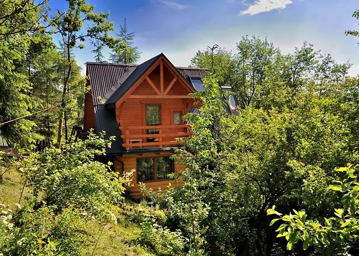 山林小屋 Mroz 扎科帕内