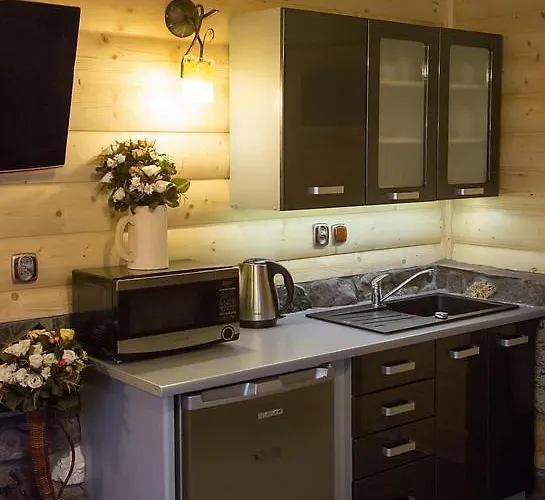 ロッジ Mroz ザコパネ