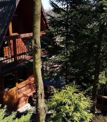 山林小屋 Mroz 扎科帕内